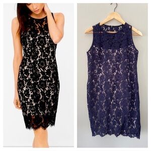 White House/Black Market Navy Blue Lace Mesh Overlay Sheath Lay Below Knee Dress